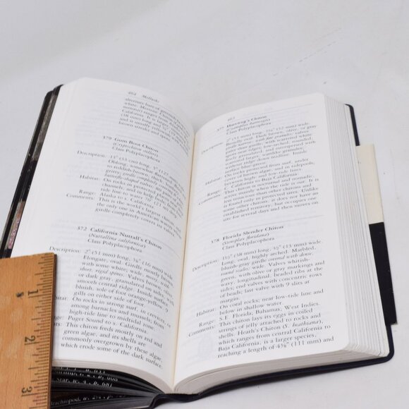 NAS Audubon Society Field Guide to North American Seashore Creatures Softcover - Picture 16 of 16